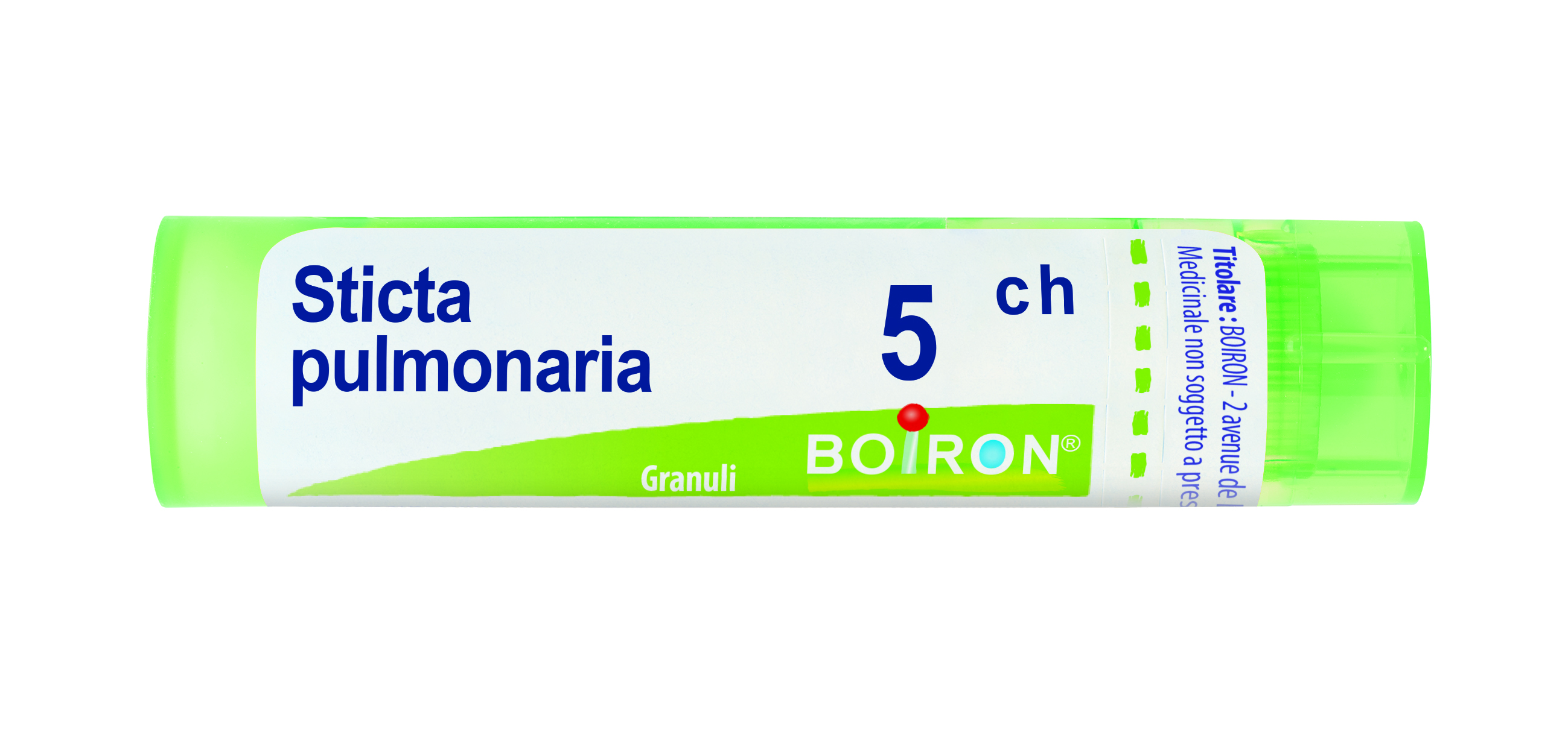 STICTA PULMONARIA*5CH 80GR 4G - Farmaunclick.it