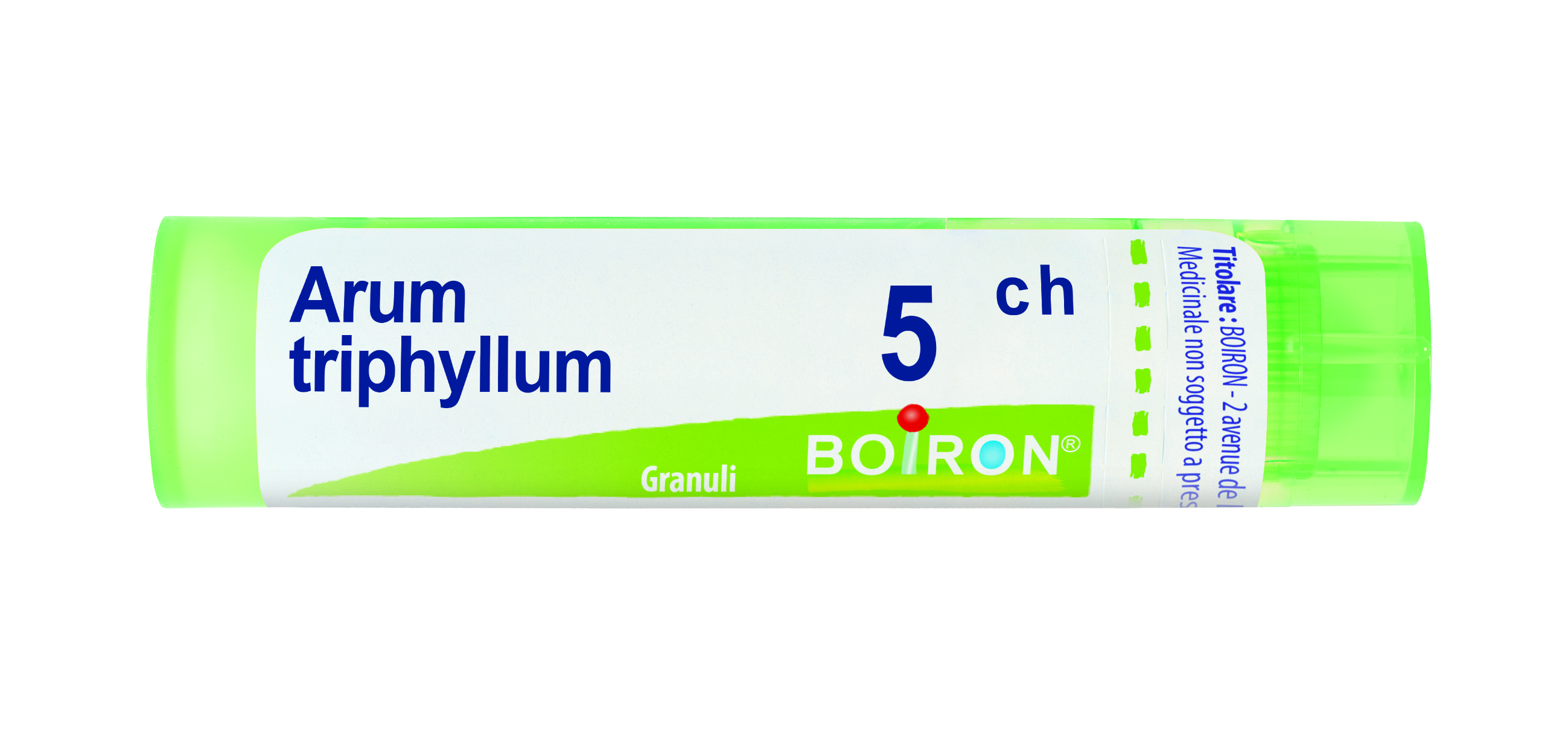 ARUM TRIPHYLLUM*5CH 80GR 4G - Farmaunclick.it