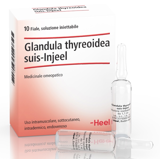 HEEL GLANDULA THYROIDEA SUIS INJEEL 10 FIALE - Farmaunclick.it