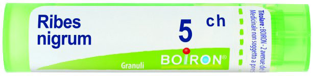 RIBES NIGRUM 5CH GRANULI - Farmaunclick.it