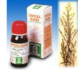 VERGA ORO 26 50ML TM - Farmaunclick.it