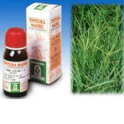 GRAMIGNA 37 50ML TM - Farmaunclick.it