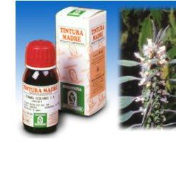 CARDIACA 16 50ML TM - Farmaunclick.it