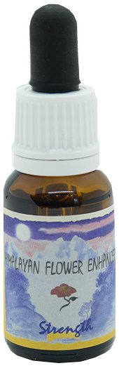 STRENGTH ESSENZA 15 ML 1 PEZZO - Farmaunclick.it