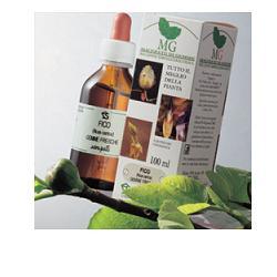 FICO 100ML MG - Farmaunclick.it