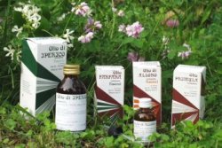 RAEMIL PROPOLI OLIO 25 ML - Farmaunclick.it