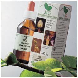 SEQUOIA 100ML MG - Farmaunclick.it