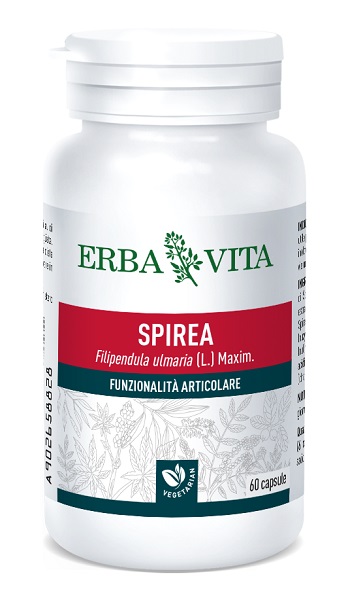 SPIREA ULMARIA 60 CAPSULE 400 MG - Farmaunclick.it