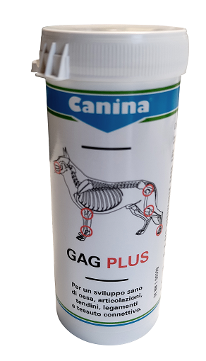 GAG PLUS 100 G 60 TAVOLETTE - Farmaunclick.it