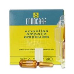 ENDOCARE B 7 FIALE 1 ML - Farmaunclick.it