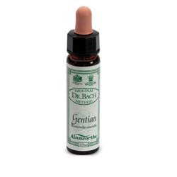AINSWORTHS GENTIAN 10ML - Farmaunclick.it