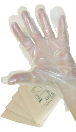GUANTO IN POLIETILENE NON STERILE MISURA MEDIA. AMBIDESTRI, OMOGENEI, TRASPARENTI E PRIVI DI POLVERE LUBRIFICANTE. INDICATI PER USO OSTETRICO, GINECOLOGICO E UROLOGICO - Farmaunclick.it
