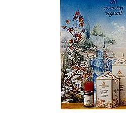 CALENDULA OLIO 100ML - Farmaunclick.it