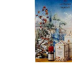 CAMOMILLA OLIO COSMETICO 100ML - Farmaunclick.it