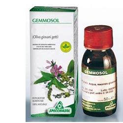 GEMMOSOL 36 RIBES NERO 50ML - Farmaunclick.it