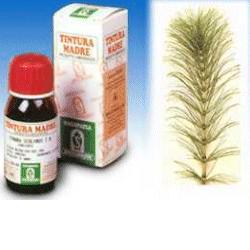 EQUISETO 12 50ML TM - Farmaunclick.it