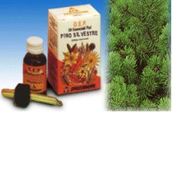 PINO SILVESTRE OLIO ESSENZIALE PURO 10 ML - Farmaunclick.it