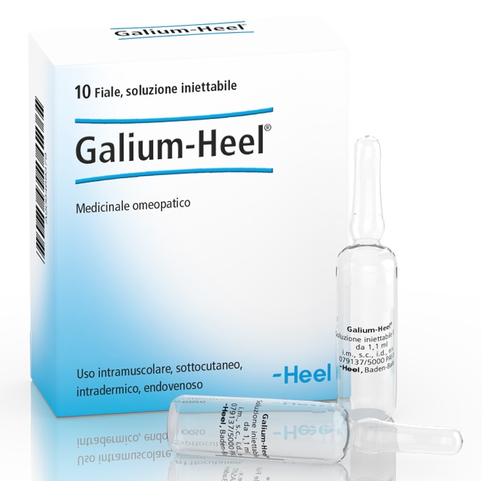 HEEL GALIUM 10 FIALE DA 1,1 ML L'UNA - Farmaunclick.it