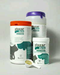 GLAZARDERM FLACONE 500 G - Farmaunclick.it