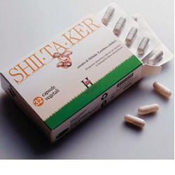 SHIITAKER HOLISTICA 100 CAPSULE - Farmaunclick.it