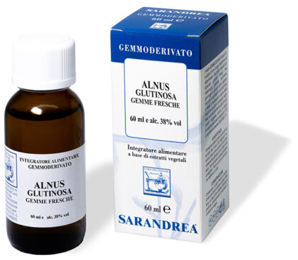 ALNUS GLUTINOSA 100 ML MACERATO GLICERICO - Farmaunclick.it