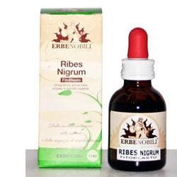FITOBLASTO RIBES NIGRUM 50 ML - Farmaunclick.it