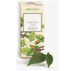BETULA VERRUCOSA LINFA GEMMODERIVATO BIO 50 ML - Farmaunclick.it
