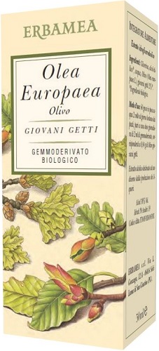 OLEA EUROPEA OLIVO BIO 50 ML - Farmaunclick.it