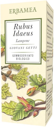 RUBUS IDAEUS LAMPONE BIO 50 ML - Farmaunclick.it