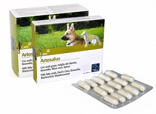 ARTOSALUS COMPRESSE 30 COMPRESSE - Farmaunclick.it