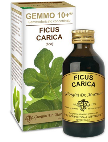 GEMMO 10+ FICO LIQUIDO ANALCOLICO 100 ML - Farmaunclick.it