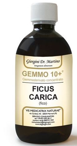 GEMMO 10+ FICO LIQUIDO ANALCOLICO 500 ML - Farmaunclick.it