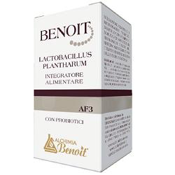 BENOIT LACTOBACILLUS PLANTHARUM 30 CAPSULE - Farmaunclick.it
