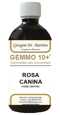GEMMO 10+ ROSA CANINA LIQUIDO ANALCOLICO 500 ML - Farmaunclick.it