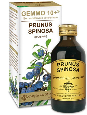 GEMMO 10+ PRUGNOLO 100 ML LIQUIDO ANALCOLICO - Farmaunclick.it