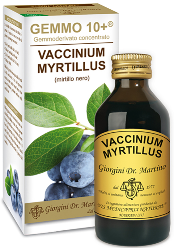 GEMMO 10+ MIRTILLO NERO LIQUIDO AN 100 ML - Farmaunclick.it