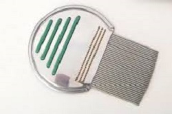 PETTINE ACCIAIO PER RIMOZIONE PIDOCCHI - Farmaunclick.it