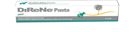 DIRENE PASTA 15 ML - Farmaunclick.it