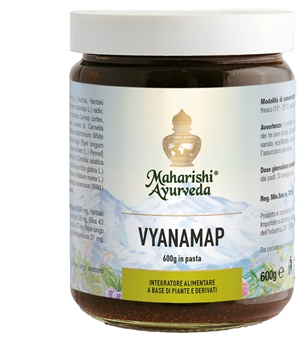 VYANAMAP PASTA 600 G - Farmaunclick.it