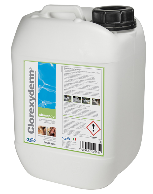 CLOREXYDERM SHAMPOO 5 LITRI - Farmaunclick.it