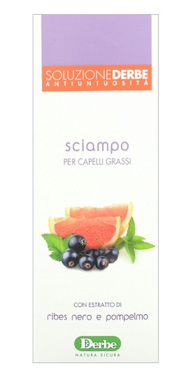 DERBE SHAMPOO ANTI UNTUOSITA - Farmaunclick.it