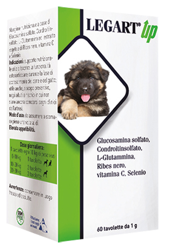 LEGART UP 60 COMPRESSE DA 1 G - Farmaunclick.it