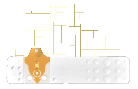 STRISCE MISURAZIONE GLICEMIA LINEA D ORO 25 PEZZI - Farmaunclick.it