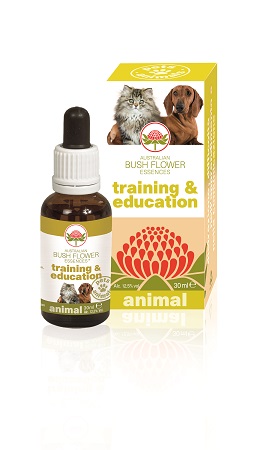 TRAINING & EDUCATION 30 ML - Farmaunclick.it