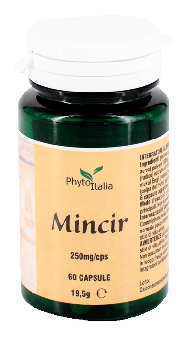 MINCEUR AYURVED 60 CAPSULE - Farmaunclick.it