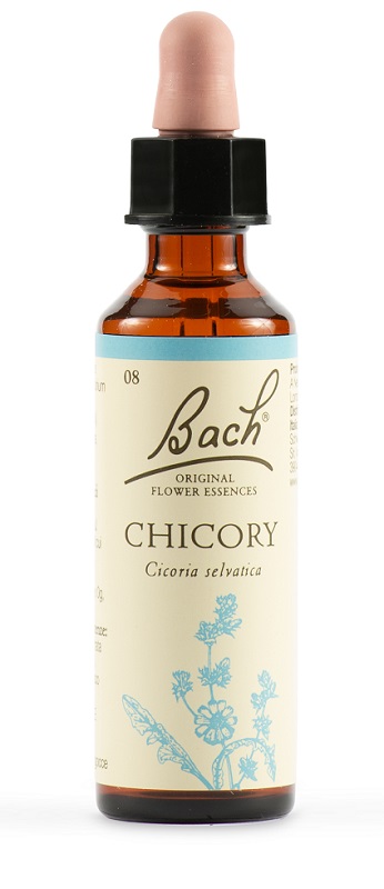 CHICORY BACH ORIG 20 ML - Farmaunclick.it