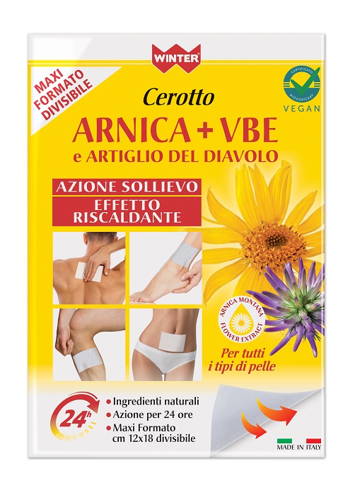 WINTER CEROTTO ARNICA + VBE E ARTIGLIO DEL DIAVOLO 10 G - Farmaunclick.it