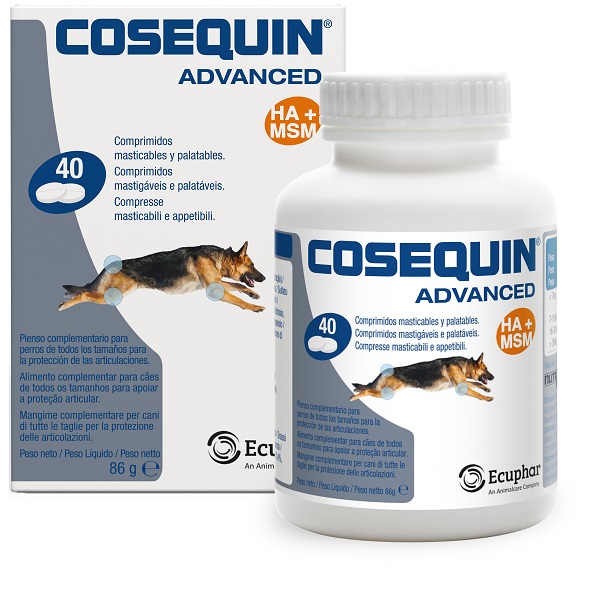 COSEQUIN GATTI 15 CAPSULE - Farmaunclick.it