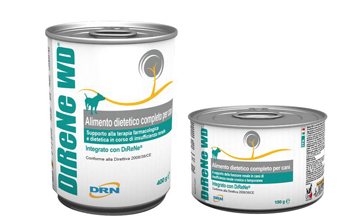 DIRENE WD 400 G - Farmaunclick.it