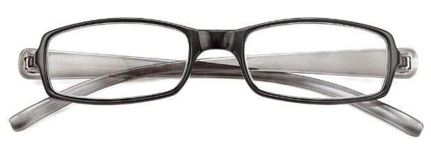 OCCHIALE DA LETTURA PREMONTATO TWINS SILVER DOUBLE +1,00 - Farmaunclick.it